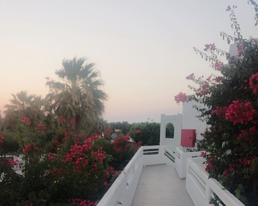 Ausblick TUI KIDS CLUB Alex Beach