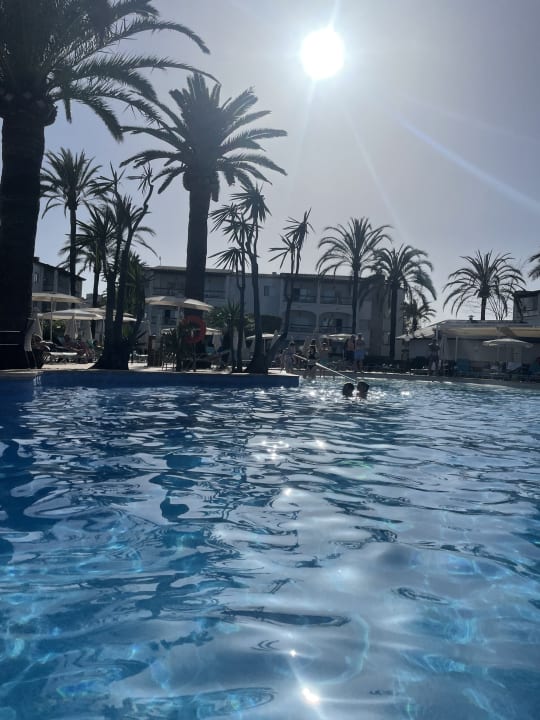 Pool Alcudia Garden Aparthotel