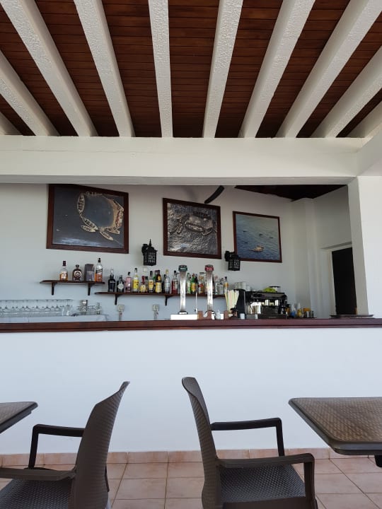 Gastro FERGUS Conil Park