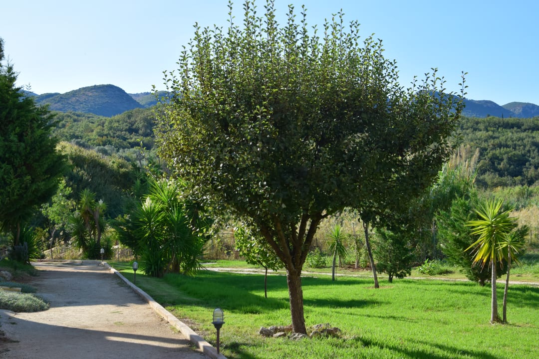 Gartenanlage Almyros Villas Resort