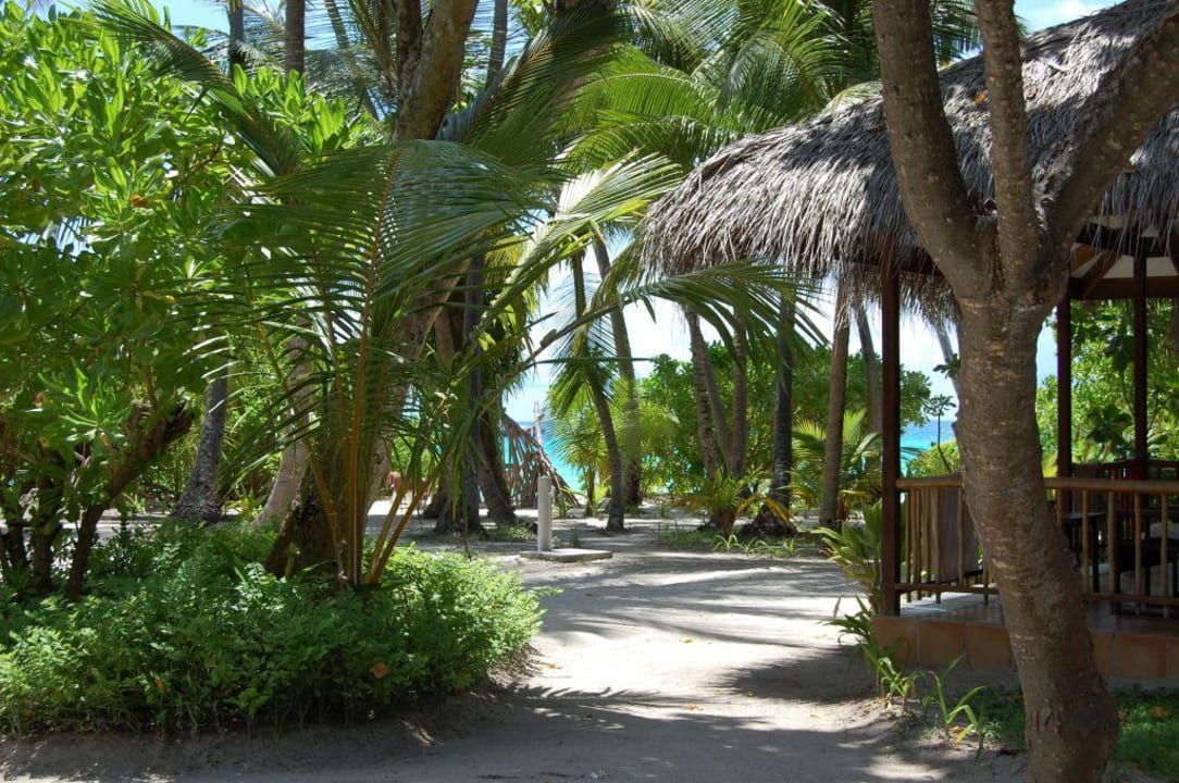 Blick von den Bungalows zum Strand Kuramathi Maldives