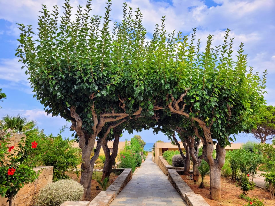 Gartenanlage Kernos Beach Hotel & Bungalows