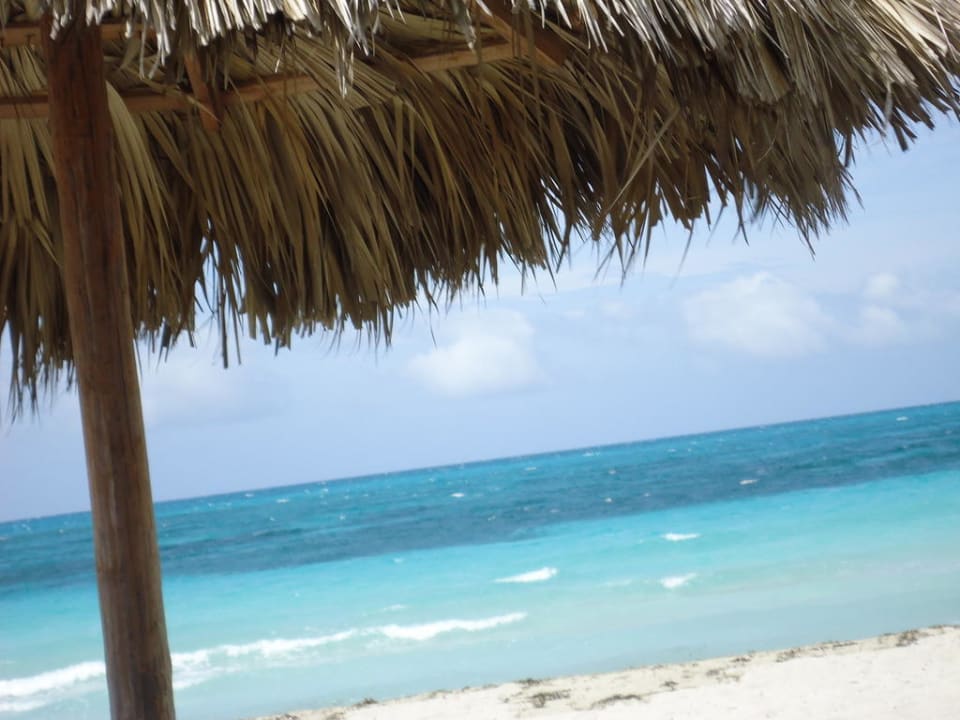 Ein Traum in erster Reihe Paradisus Princesa del Mar Resort & Spa - Adults only