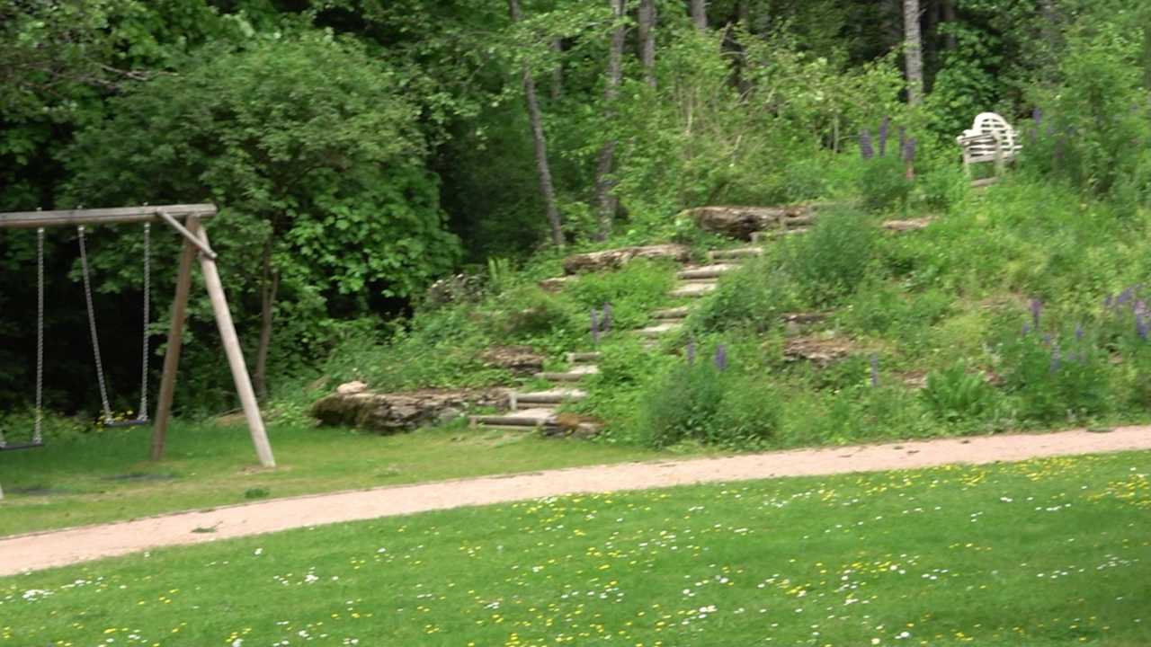 Außenansicht Hotel Grüner Wald