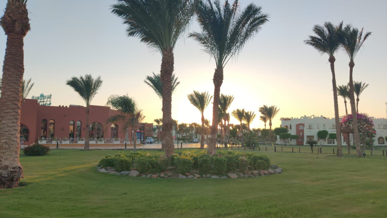 Gartenanlage SUNRISE Royal Makadi Resort