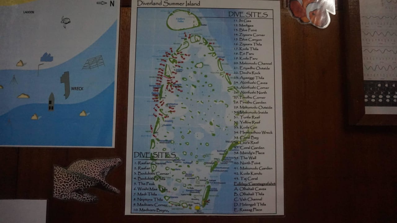 Miejsca wypraw na nurkowanie Summer Island Maldives