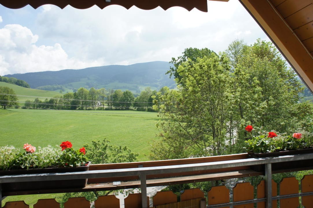 Die Aussicht / Balkon Landgasthof Hotel Schützen