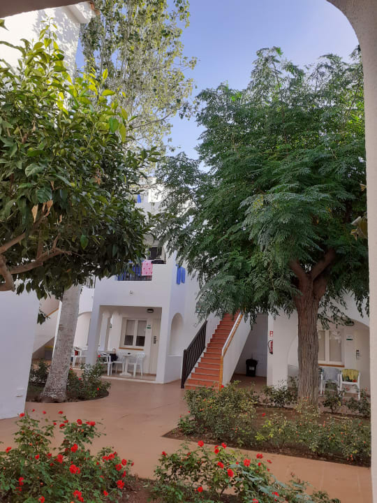 Gartenanlage Globales Bouganvilla