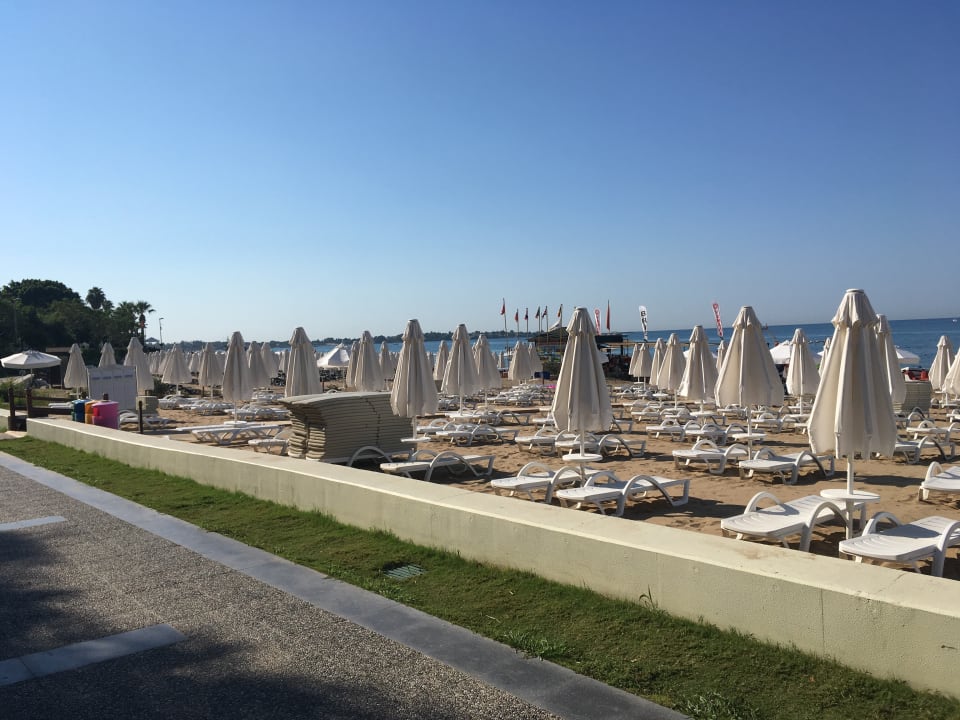 Strand Arum Barut Collection