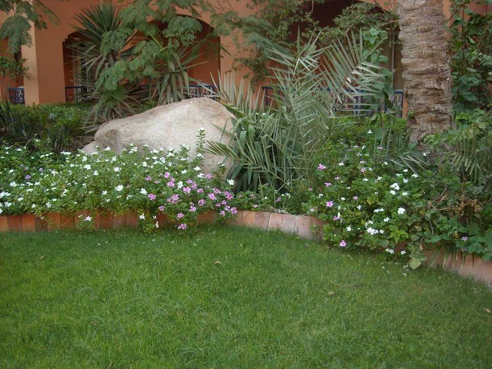 Makadi Oasis Jaz Makadi Oasis Resort