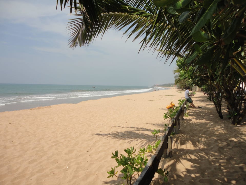 Strand Rechts davon Befinden sich die Liegen Pandanus Beach Resort & Spa