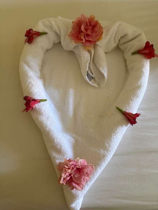 Zimmer Casa Mare Resort