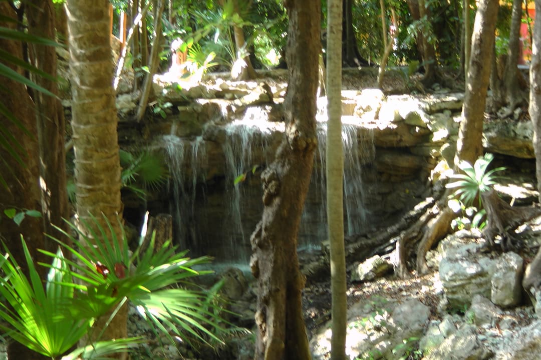 Gartenanlage Iberostar Waves Tucan