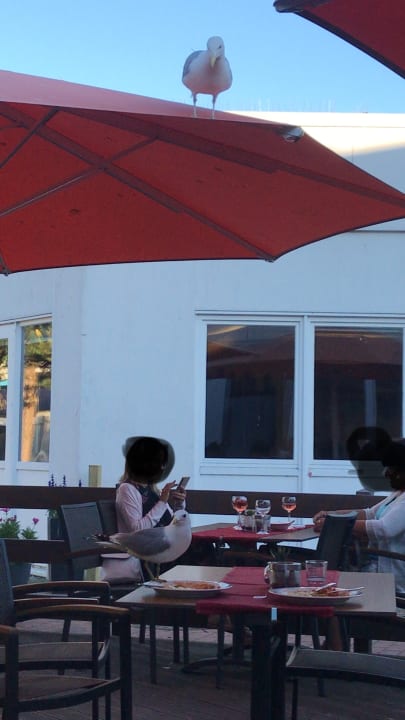 Strand Damp Ostsee Resort & Ferienpark