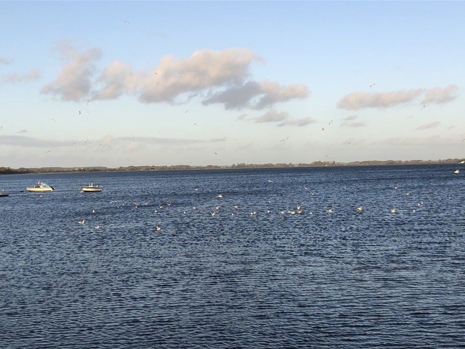 Ausblick Strandhotel Dranske