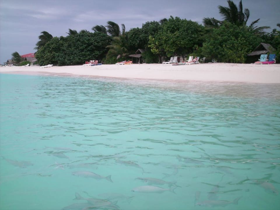 Ruhe Summer Island Maldives