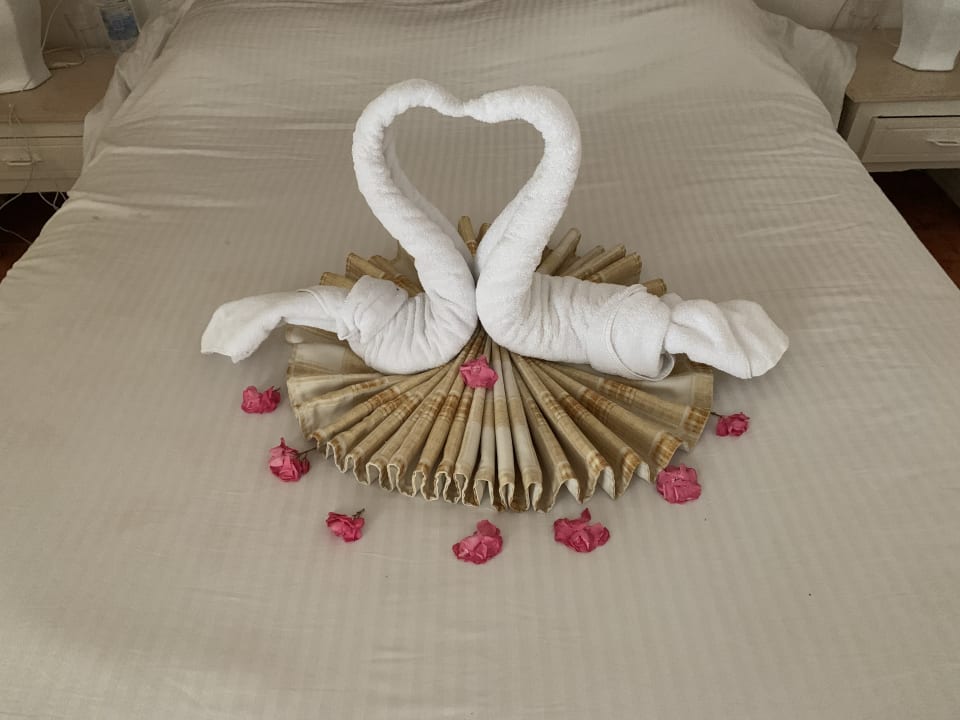 Zimmer Giftun Azur Resort