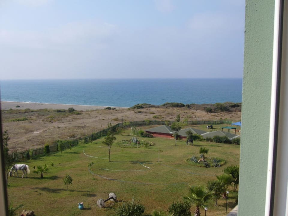 Sun Flipper Hotel Club Life Kizilot