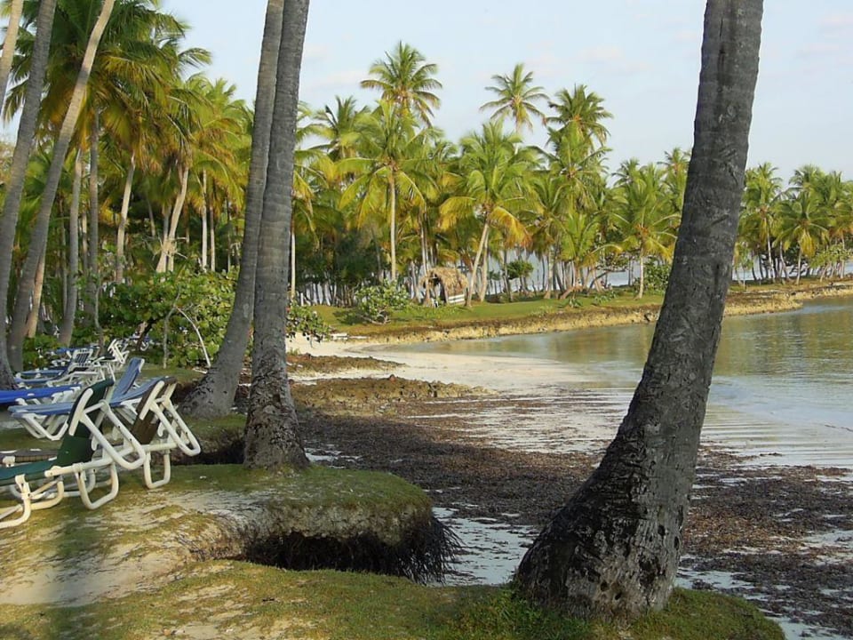 Strand Wyndham Alltra Samana