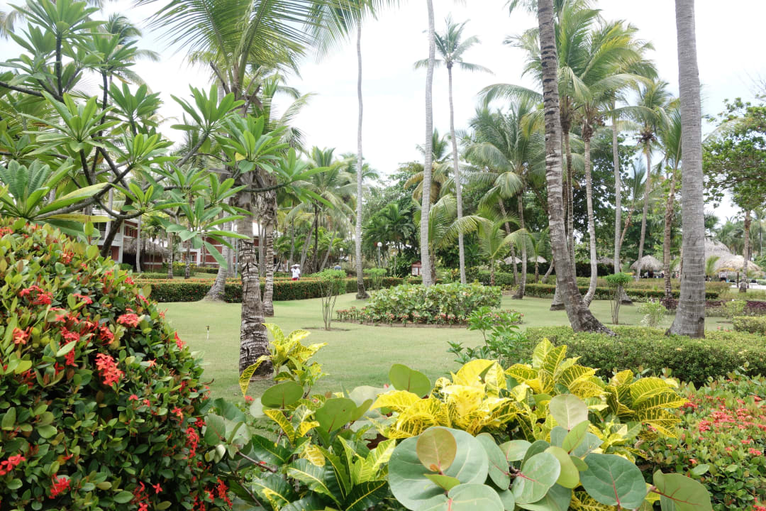 Sehr gefplegert Garten Grand Palladium Select Bávaro Resort & Spa