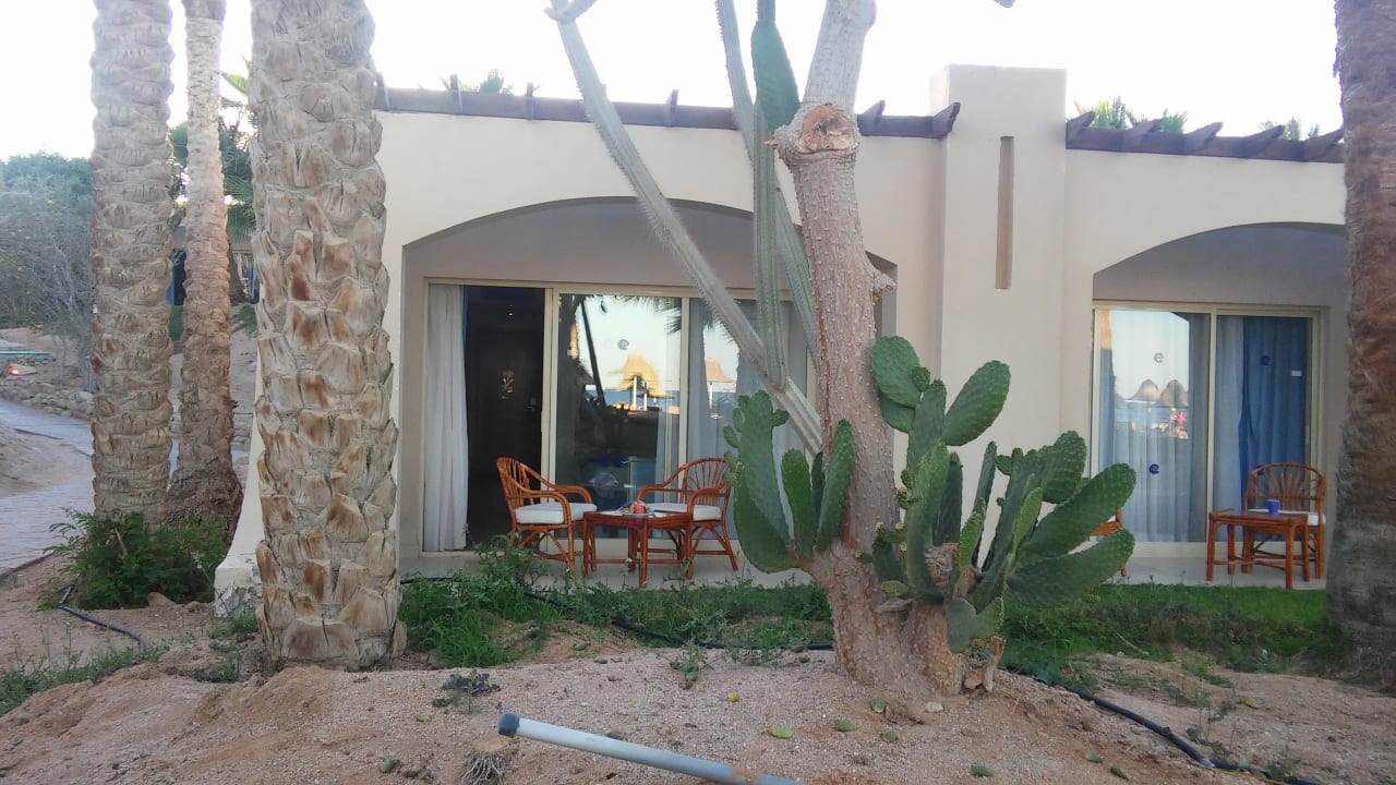 Zimmer Parrotel Beach Resort