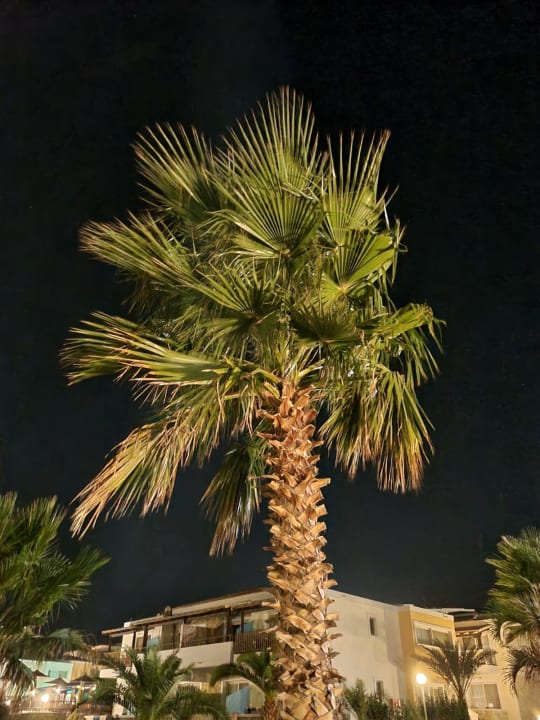 Gartenanlage Grand Blue Beach Hotel