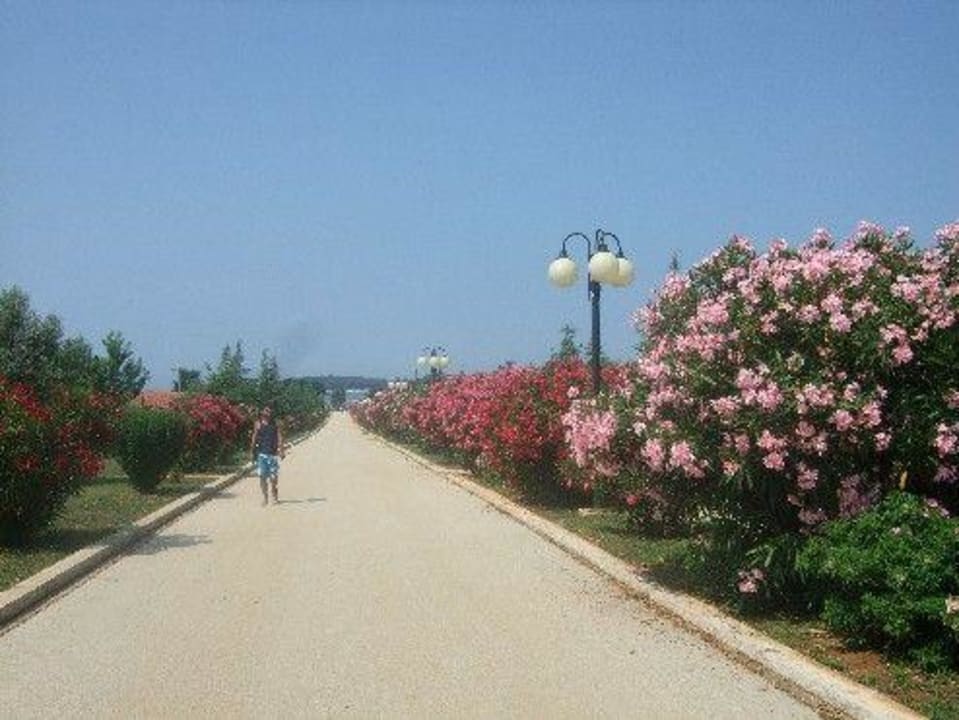 Weg runter zum Strand Bi-Village Ferienzentrum - Apartmenthäuser