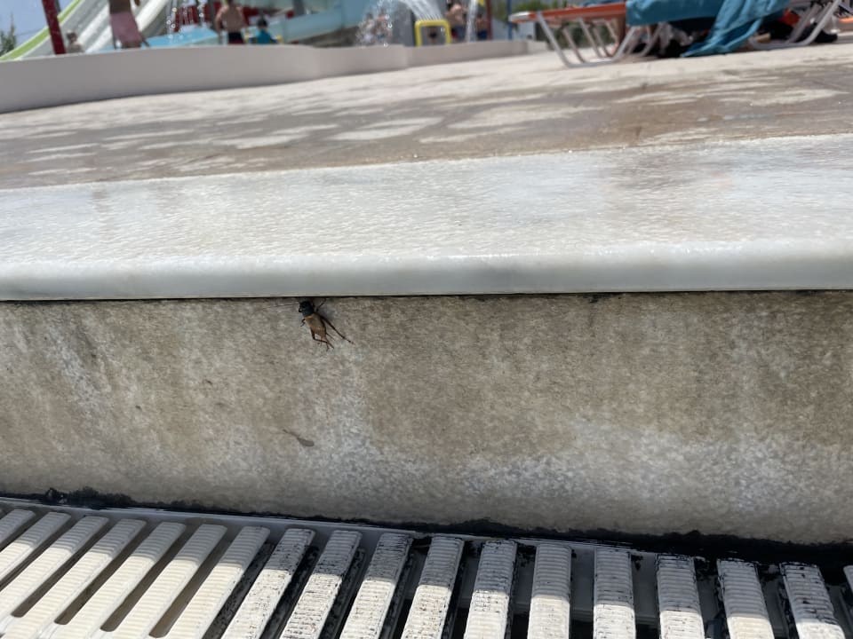 Sonstiges Atlantica Mikri Poli Rhodes