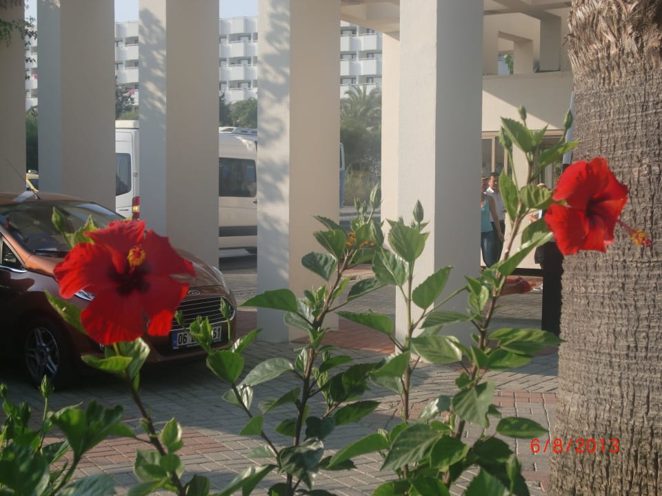 VON Club Golden Beach VONRESORT Golden Beach