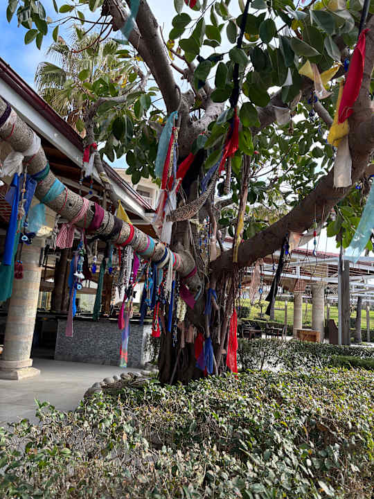 Gartenanlage Hotel Defne Garden