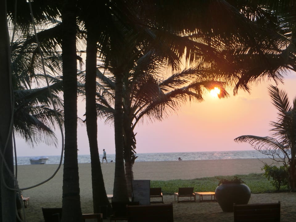Ausblick Hotel Jetwing Beach