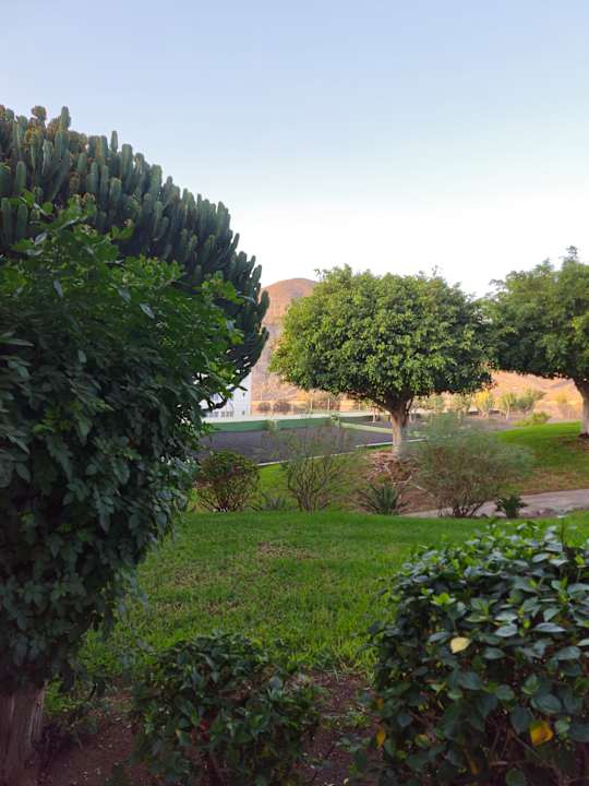 Gartenanlage allsun App.-Hotel Esquinzo Beach