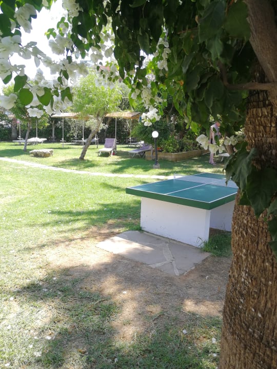 Sport & Freizeit Crystal Springs Beach Hotel