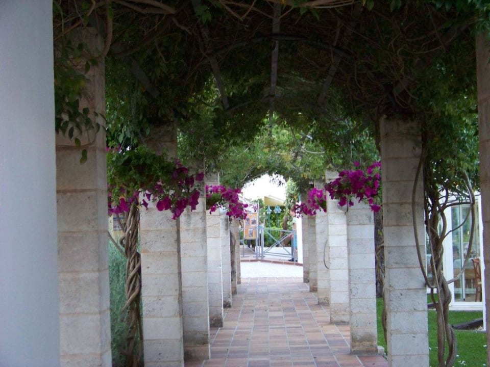 Sonnenschutz Iberostar Waves Ciudad Blanca