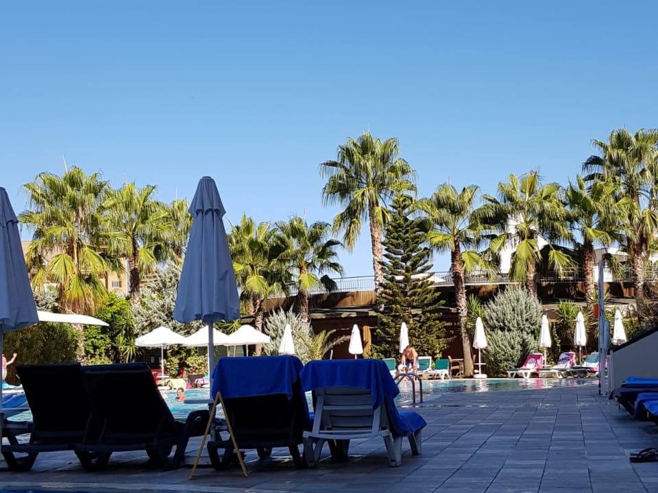 Pool Calimera Hane Garden