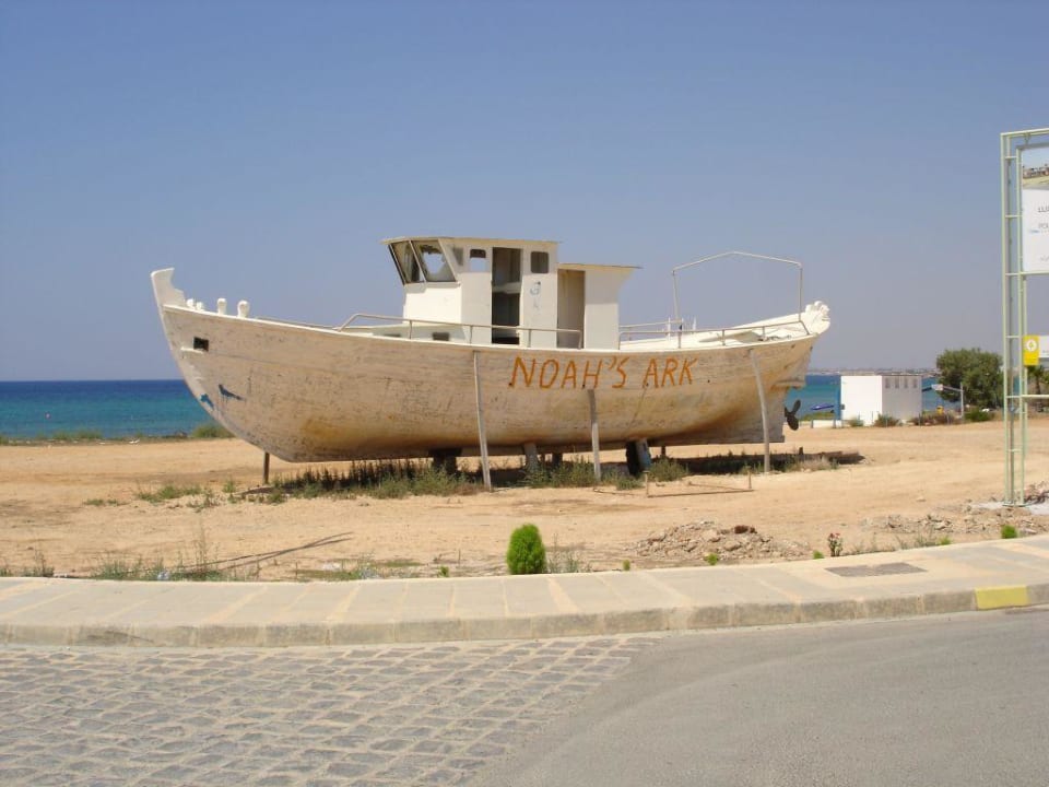 Arche Noah Faros Hotel Ayia Napa