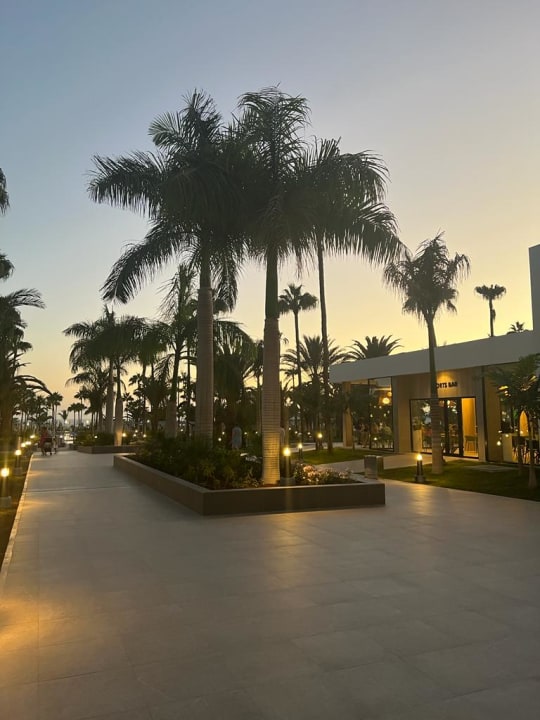 Gartenanlage Hotel Riu Gran Canaria