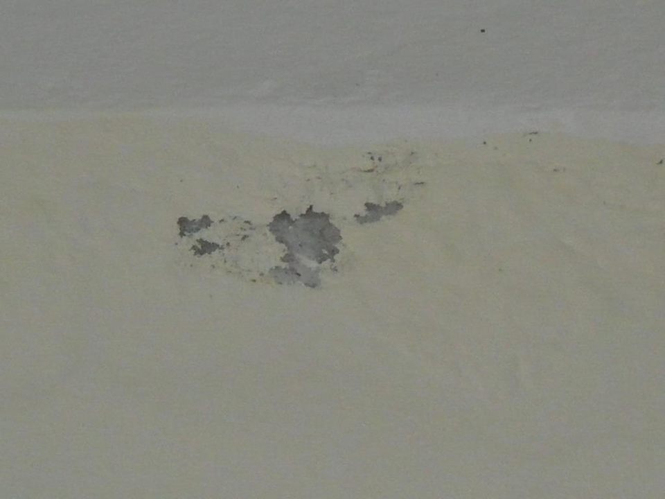 Schimmelpilz Decke Zimmer 12206 BelleVue Dominican Bay