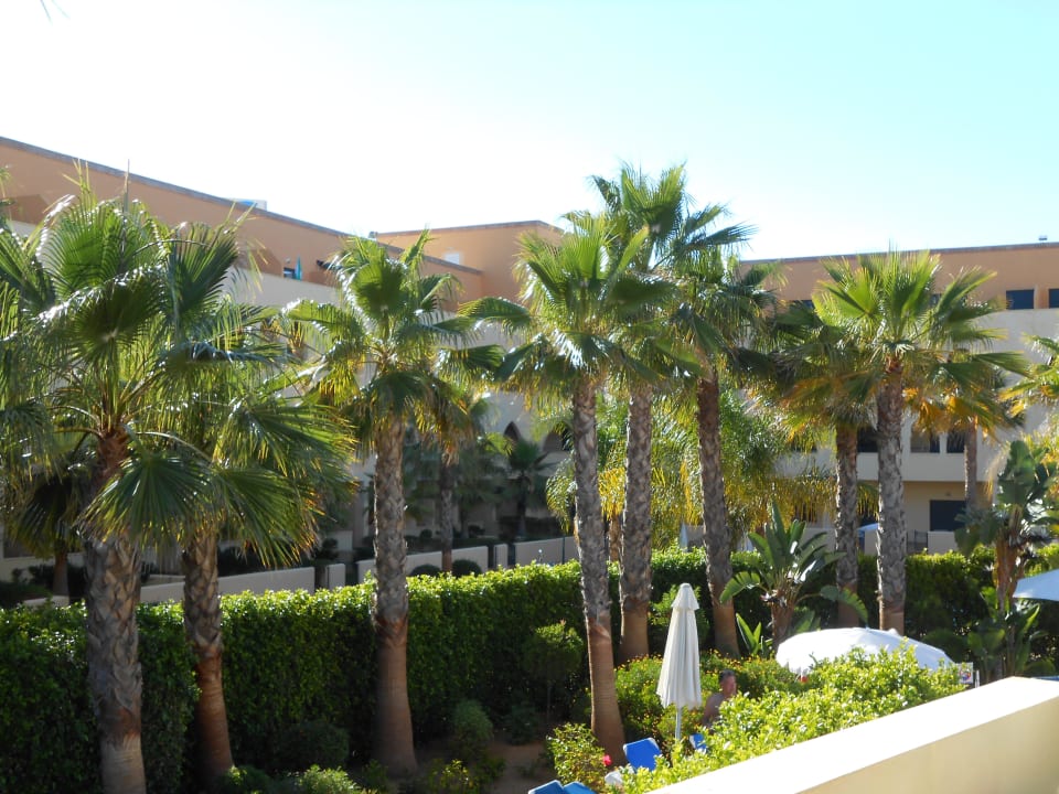Sehr gepflegt Apartamentos Playamarina by Senator