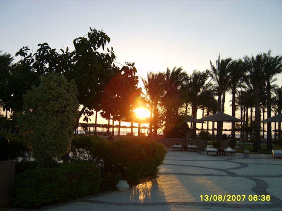 Der Morgen erwacht Grand Makadi