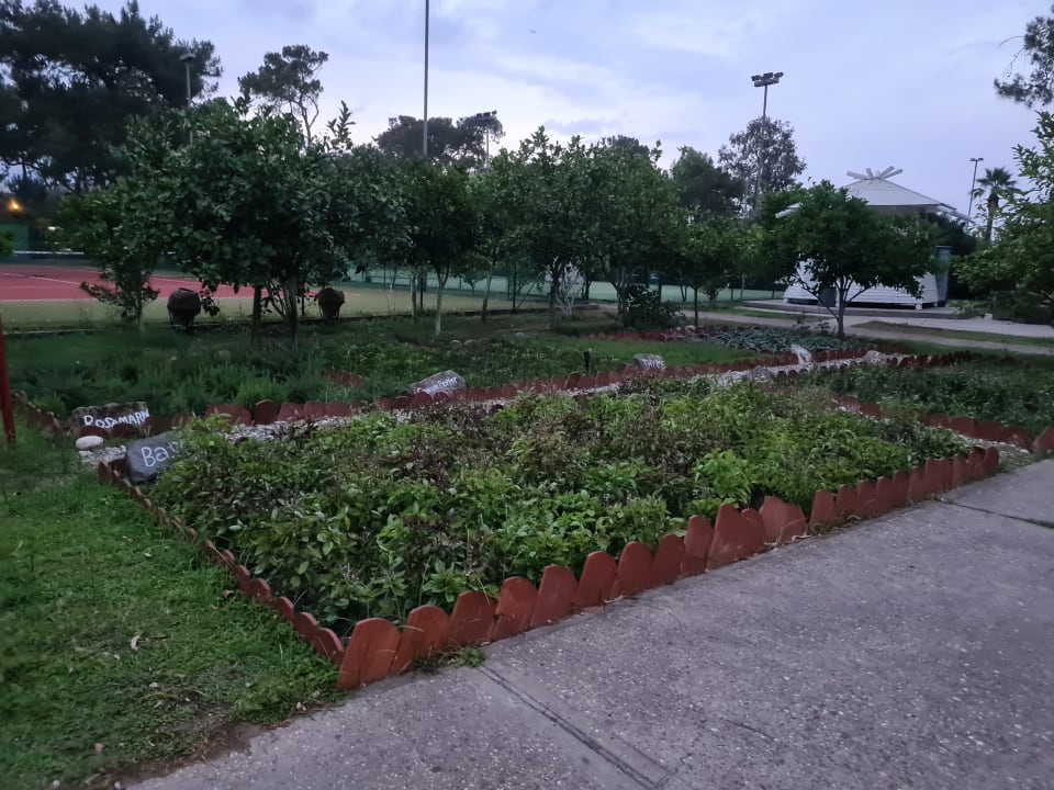 Gartenanlage Balmy Foresta