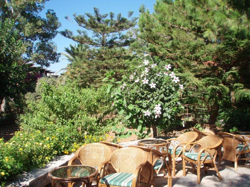 Garden Apollonia Beach Resort & Spa