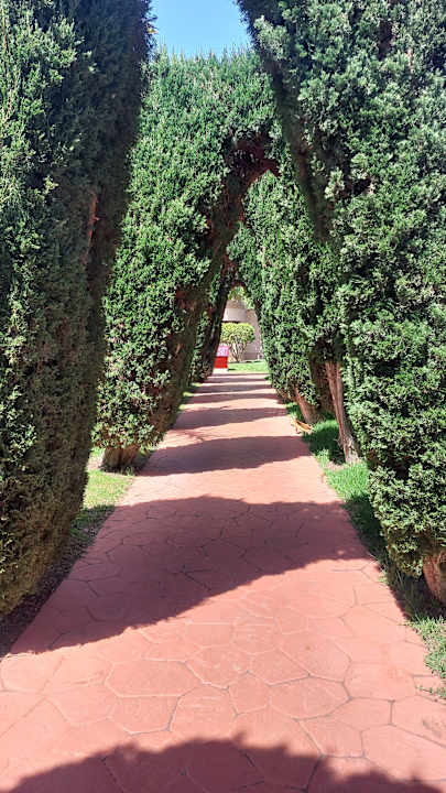 Gartenanlage allsun Hotel Esplendido