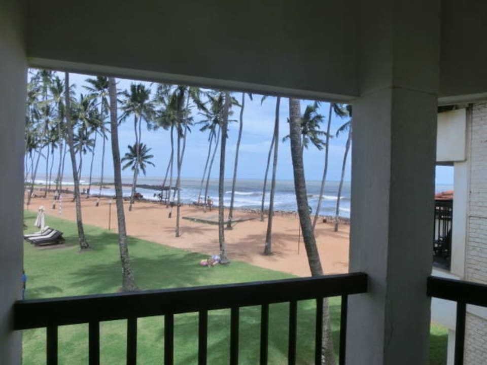 Balkon Club Hotel Dolphin