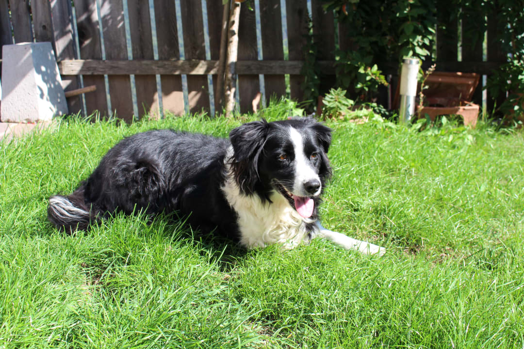 Gartenanlage Bauernhof Neu-Schötzerhof