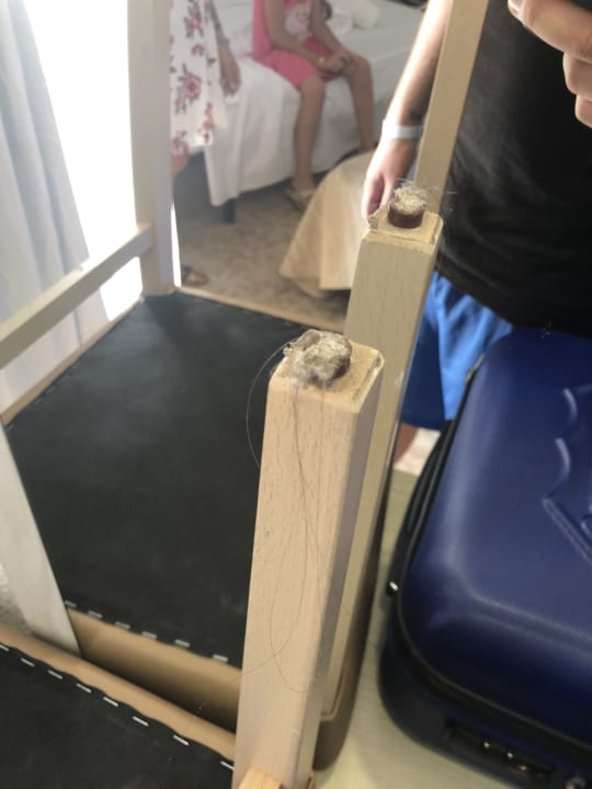 Zimmer HSM Canarios Park