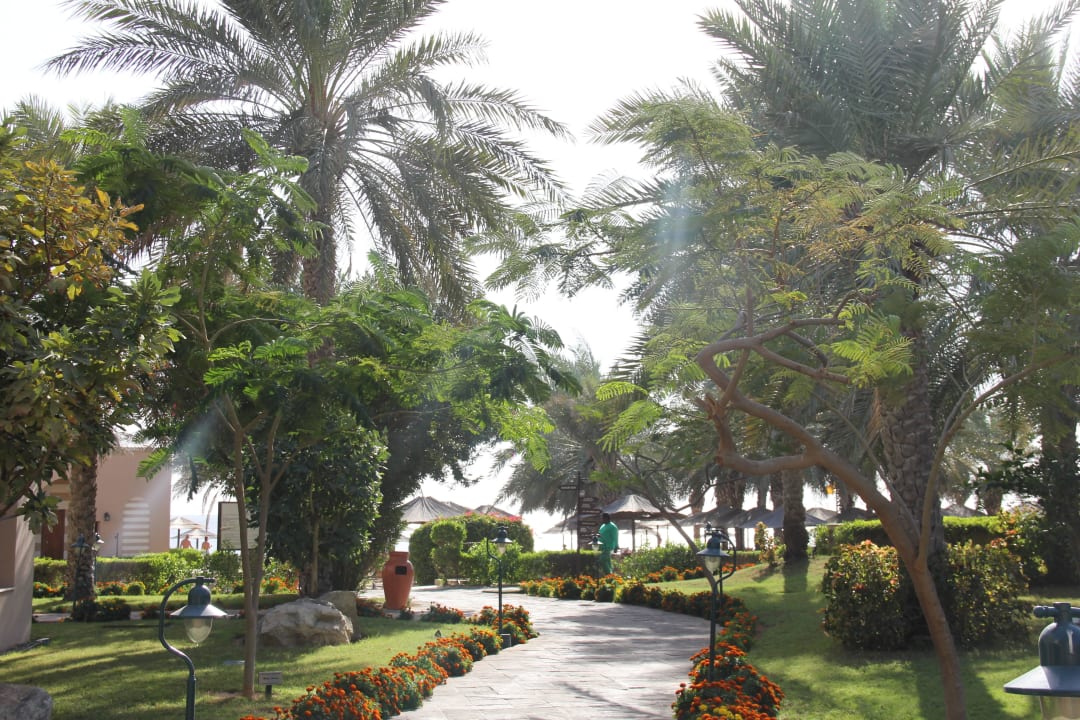 Hotel Iberotel Miramar Al Aqah Beach Resort Miramar Al Aqah Beach Resort