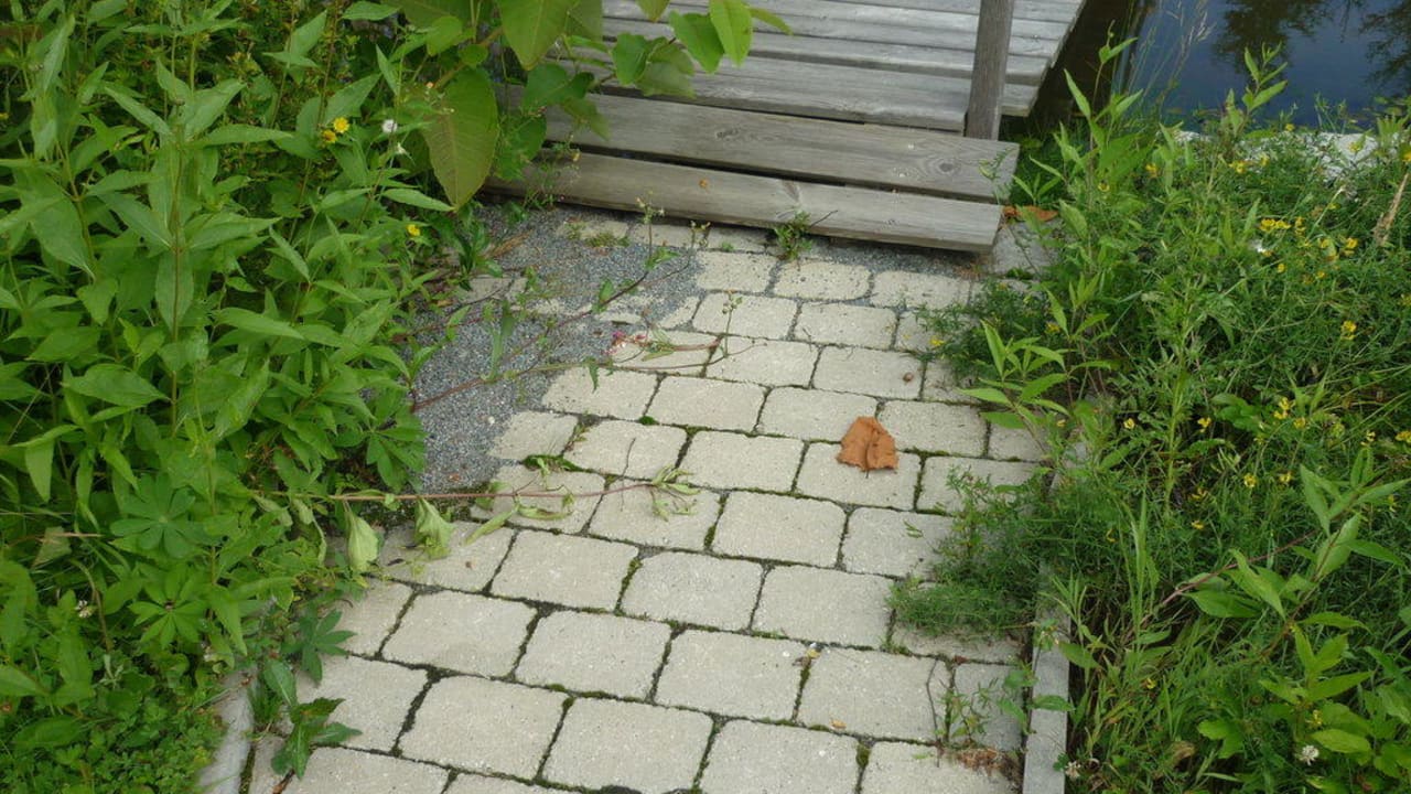 Vor der Brücke des Teiches Hotel Bayernstern