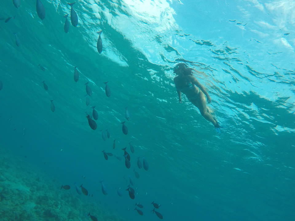 Sport & Freizeit Summer Shade Maldives