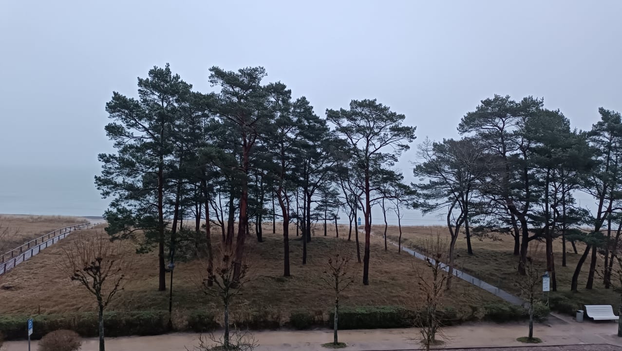 Ausblick Grand Hotel Binz by Private Palace Hotels & Resorts